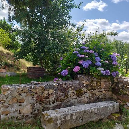Gite Moulin De Ludieras Busserolles Dış mekan fotoğraf
