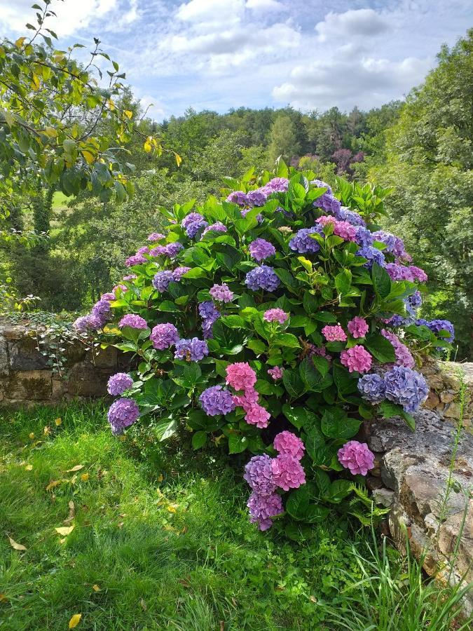 Gite Moulin De Ludieras Busserolles Dış mekan fotoğraf